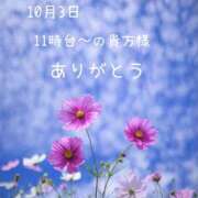 ヒメ日記 2026/10/03 22:00 投稿 愛川 舞 エレガンス(福島)