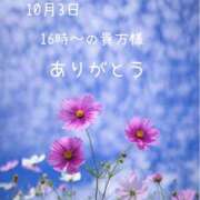 ヒメ日記 2026/10/03 23:14 投稿 愛川 舞 エレガンス(福島)