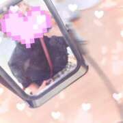 プリン 久しぶりの昼出勤❣️ 沖縄ちゃんこコザ