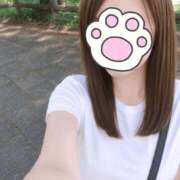 ヒメ日記 2026/07/11 00:07 投稿 河口うらら セクシーキャット 神田店