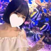ヒメ日記 2026/07/09 12:21 投稿 藤咲すずな ウルトラプラチナム