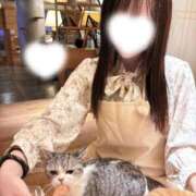 ヒメ日記 2026/08/24 20:05 投稿 るる★完未×衝撃の男性経験1人 渋谷S級素人清楚系デリヘル chloe