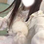ヒメ日記 2026/09/15 17:10 投稿 るる★完未×衝撃の男性経験1人 渋谷S級素人清楚系デリヘル chloe