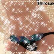 白咲(しろさき) 明日出勤します🤍 モアグループ厚木人妻城