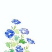 ヒメ日記 2026/08/03 00:52 投稿 ゆうあ モアグループ宇都宮人妻花壇