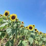 すず 🌻 横浜ミセスアロマ（ユメオト）