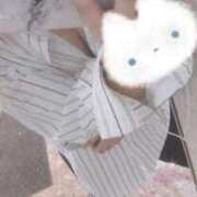 ヒメ日記 2026/07/15 05:14 投稿 ゆり/敏感過ぎて大洪水◎ 10代・20代専門！全オプション無料！姫コレクション神戸店