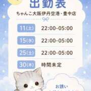 ヒメ日記 2026/07/09 23:25 投稿 あみ ちゃんこ大阪伊丹空港豊中店