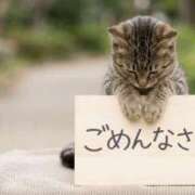 ヒメ日記 2026/07/20 07:10 投稿 菊池さやか 大阪ぽっちゃり妻 谷九店