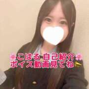 ヒメ日記 2026/09/19 12:24 投稿 こはる ルーフ福井