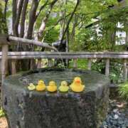 ヒメ日記 2026/07/22 12:03 投稿 吉沢りお 色気あるワイフ