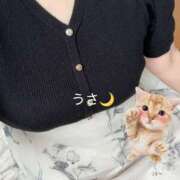 ヒメ日記 2026/07/13 17:27 投稿 うさ モアグループ神栖人妻花壇