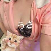 ヒメ日記 2026/08/10 16:41 投稿 うさ モアグループ神栖人妻花壇