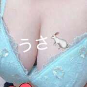 ヒメ日記 2026/08/15 07:10 投稿 うさ モアグループ神栖人妻花壇