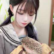 ヒメ日記 2026/07/12 09:29 投稿 りぼん★UL対応 Blue Moon