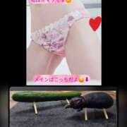 ヒメ日記 2026/08/12 21:39 投稿 まい(人妻)新人 THE・TRY
