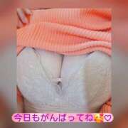 ヒメ日記 2026/08/31 08:55 投稿 まい(人妻)新人 THE・TRY
