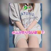ヒメ日記 2026/09/11 21:54 投稿 まい(人妻)新人 THE・TRY