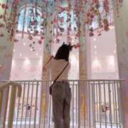 ゆずりは 15時から居ます！ DCP