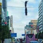 ヒメ日記 2026/08/10 09:50 投稿 ジャスミン 熟女デリヘル倶楽部