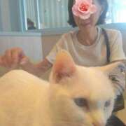ヒメ日記 2026/09/21 07:46 投稿 ジャスミン 熟女デリヘル倶楽部