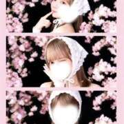 桜井えみり 🐰🩷🐰 Claris Tokyo～クラリス東京～