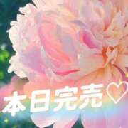 ヒメ日記 2026/07/11 02:37 投稿 しずか One More 奥様　五反田店