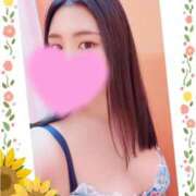 ヒメ日記 2026/08/01 11:57 投稿 しずか One More 奥様　五反田店