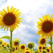 木ノ原かおり 夏の思い出🌻 月の真珠-新宿-