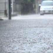 ヒメ日記 2026/09/21 17:18 投稿 木ノ原かおり 月の真珠-新宿-