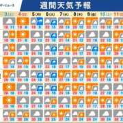 ヒメ日記 2026/10/03 02:08 投稿 木ノ原かおり 月の真珠-新宿-