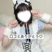 ヒメ日記 2026/08/02 18:41 投稿 こはね アイドル育成プロジェクト だいしゅきほーるど梅田店