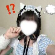 ヒメ日記 2026/08/07 21:22 投稿 こはね アイドル育成プロジェクト だいしゅきほーるど梅田店