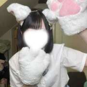 ヒメ日記 2026/08/14 20:33 投稿 こはね アイドル育成プロジェクト だいしゅきほーるど梅田店