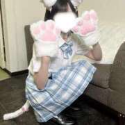 こはね いつでも待ってるにゃん🐈♡ アイドル育成プロジェクト だいしゅきほーるど梅田店