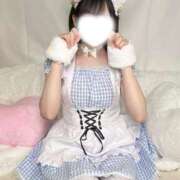 ヒメ日記 2026/09/05 11:40 投稿 こはね アイドル育成プロジェクト だいしゅきほーるど梅田店