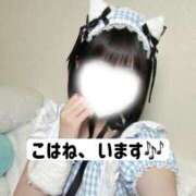 ヒメ日記 2026/09/20 08:58 投稿 こはね アイドル育成プロジェクト だいしゅきほーるど梅田店
