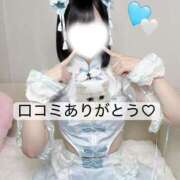ヒメ日記 2026/09/26 23:10 投稿 こはね アイドル育成プロジェクト だいしゅきほーるど梅田店