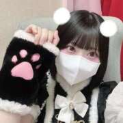 ヒメ日記 2026/10/15 08:30 投稿 こはね アイドル育成プロジェクト だいしゅきほーるど梅田店