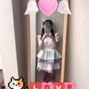 ヒメ日記 2026/07/14 23:55 投稿 ねこ アイドル育成プロジェクト だいしゅきほーるど梅田店