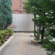 ヒメ日記 2026/07/15 00:25 投稿 ねこ アイドル育成プロジェクト だいしゅきほーるど梅田店