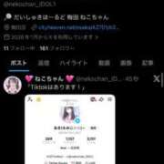 ヒメ日記 2026/07/26 20:56 投稿 ねこ アイドル育成プロジェクト だいしゅきほーるど梅田店