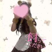 ヒメ日記 2026/10/17 16:34 投稿 ぽめぷー アイドル育成プロジェクト だいしゅきほーるど梅田店