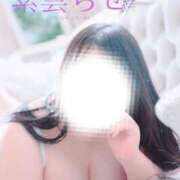 紫雲 明日、会えそう❓ BBW西船橋店