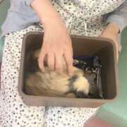 ヒメ日記 2026/07/20 08:35 投稿 みりや 奥鉄オクテツ東京店（デリヘル市場）