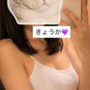 ヒメ日記 2026/09/05 18:04 投稿 きょうか 密着手コキ&M性感 横浜エンジェルハンド