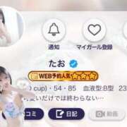 ヒメ日記 2026/08/10 19:23 投稿 たお luxury spa 風雅