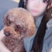 ヒメ日記 2026/08/16 12:04 投稿 にゃん エデンR