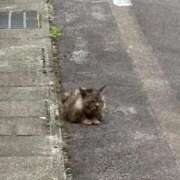 ヒメ日記 2026/08/13 14:57 投稿 水瀬ゆの ウルトラハピネス