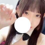 ヒメ日記 2026/07/11 12:22 投稿 ユウカ【愛嬌満点魅惑のバニー】 バニーコレクション 中洲店